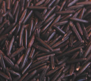 i-rice-wild-02.jpg